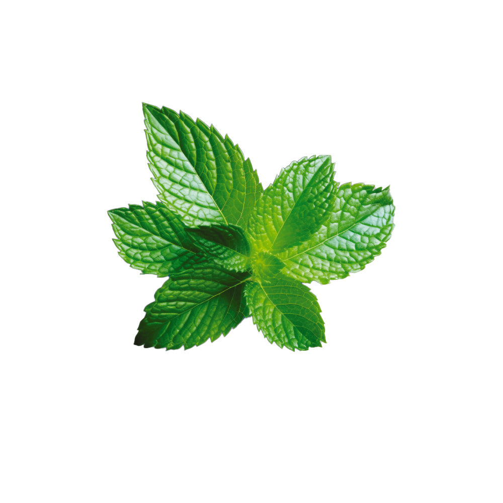 SHOT Mouth Wash Capsules – Mint Flavour | 20 Capsules of 15ml
